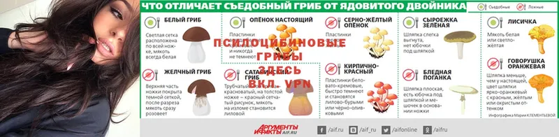 как найти закладки  Краснослободск  Псилоцибиновые грибы Psilocybe 